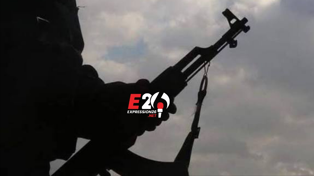 Image de          couverture